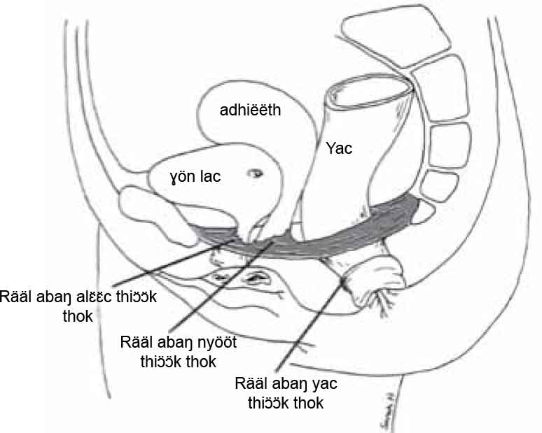 Pelvic Floor