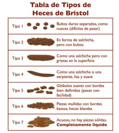 Bristol Stool Chart Spanish