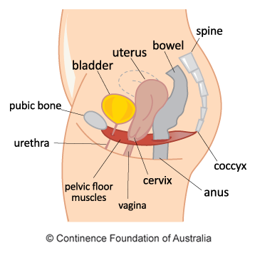 Granny Prolapse