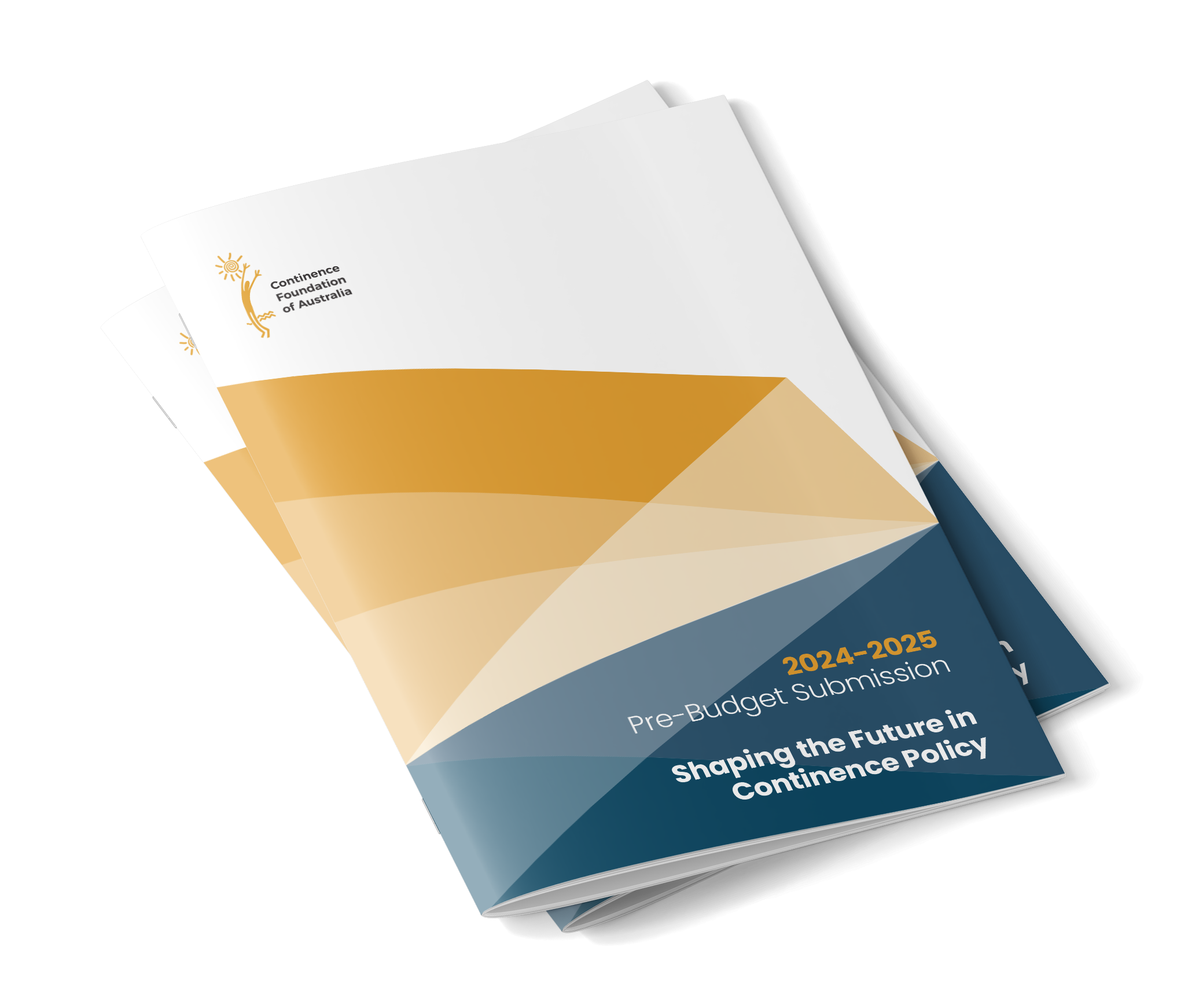 2024-2025 Pre-Budget Submission