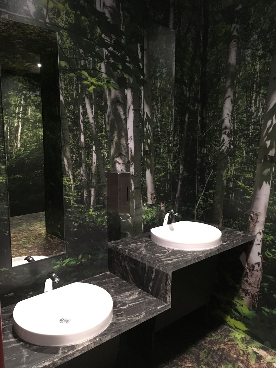 In search of world’s best toilets | Continence Foundation of Australia