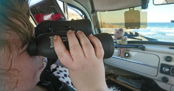 Olivia Binoculars