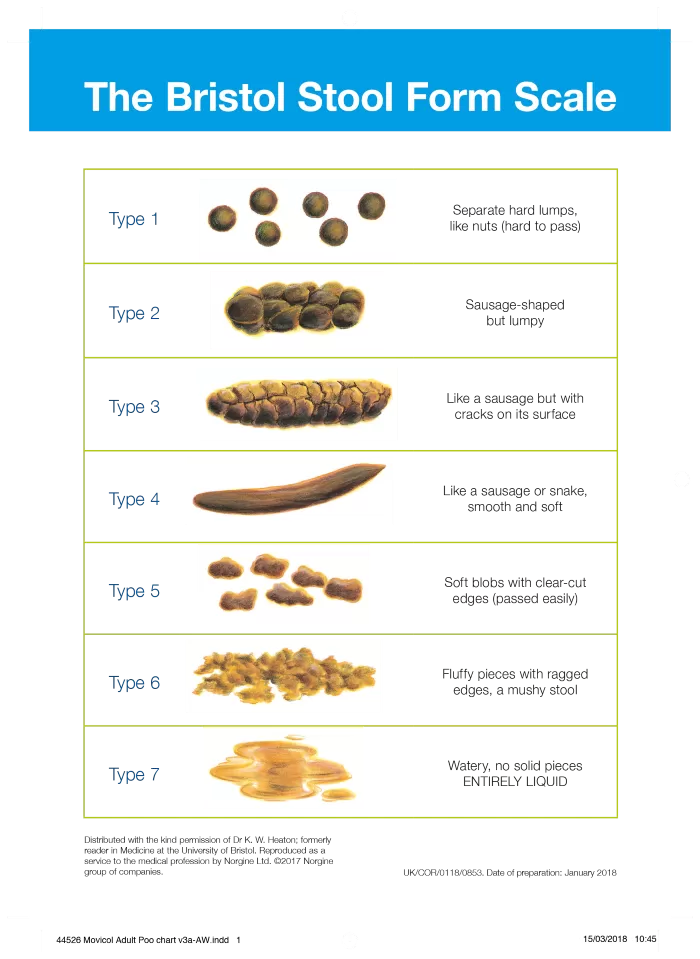Bristol Stool Form Scale also referred to as Bristol Stool Chart
