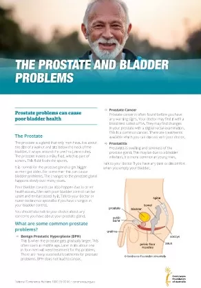 The Prostate and Bladder Problems