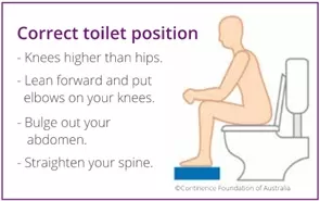Correct Toilet Position